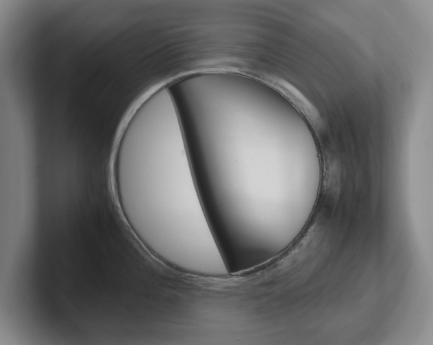 X0000102271196200807250851