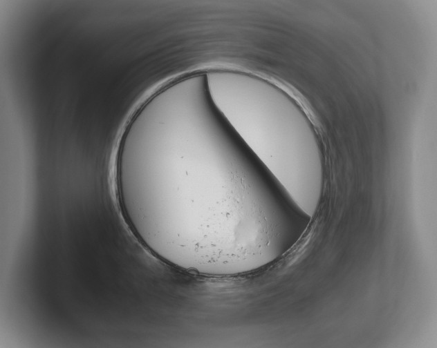 X0000102271199200807250851
