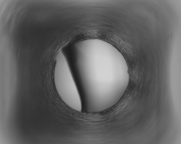 X0000102271201200807250851