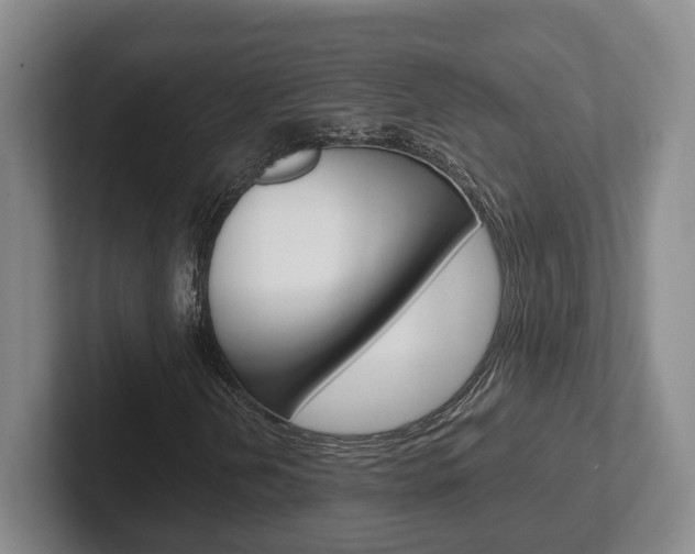 X0000102271202200807250851