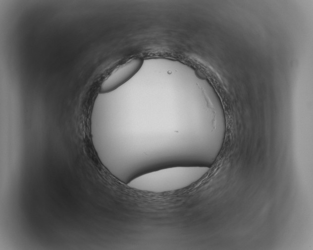 X0000102271207200807250851