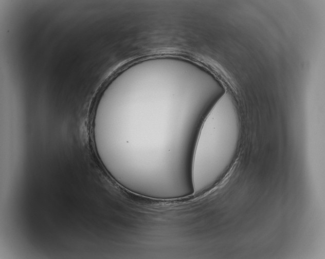 X0000102271212200807250851