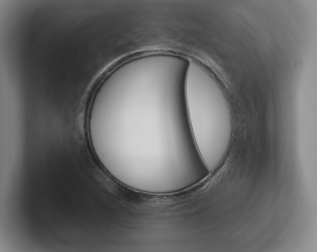 X0000102271216200807250851