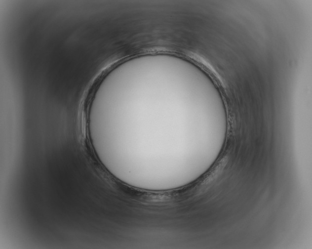 X0000102271219200807250851