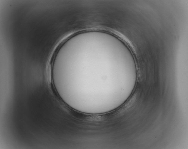 X0000102271223200807250851