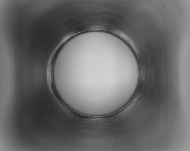 X0000102271227200807250851