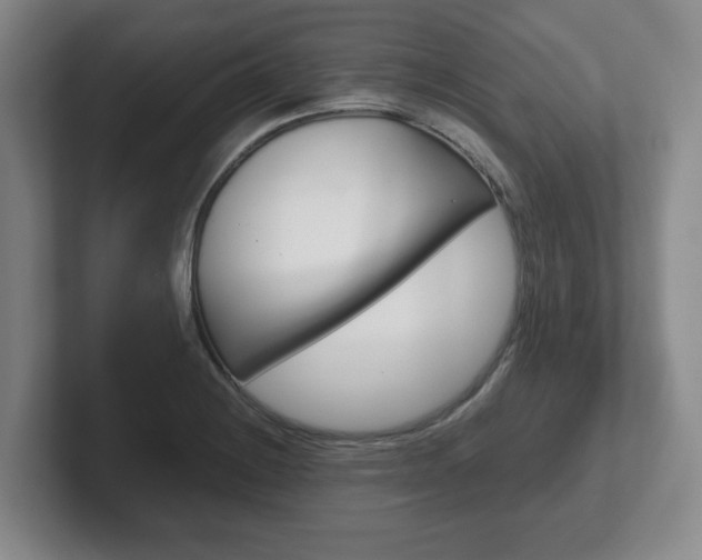 X0000102271228200807250851