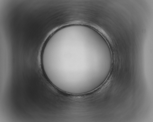 X0000102271230200807250851