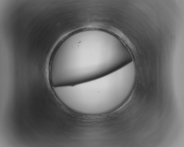 X0000102271232200807250851