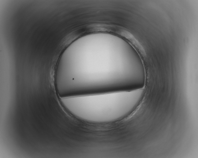 X0000102271233200807250851