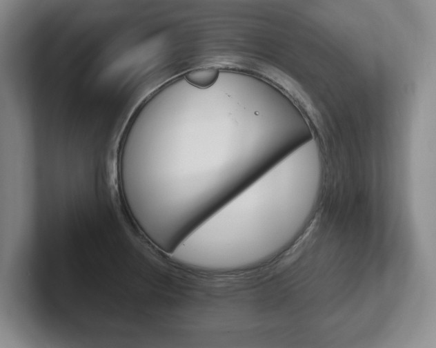 X0000102271234200807250851