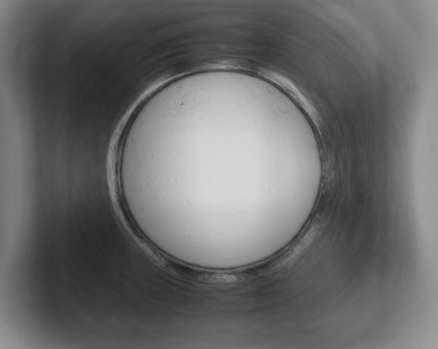 X0000102271235200807250851
