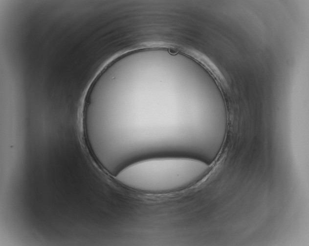 X0000102271236200807250851