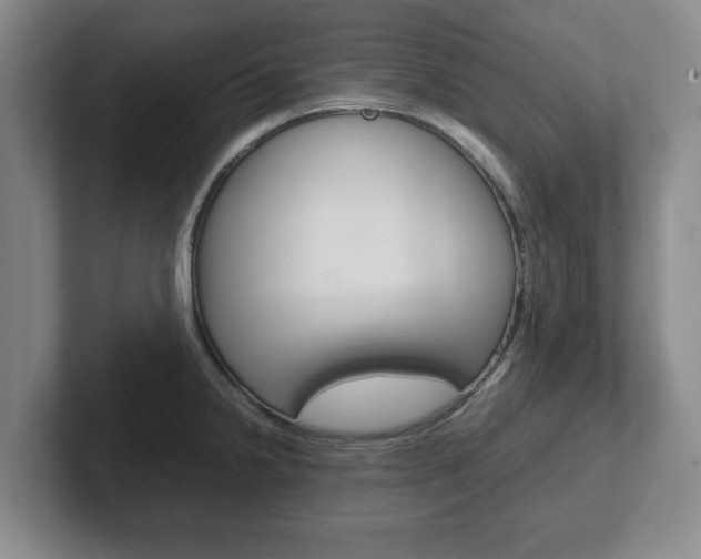 X0000102271238200807250851