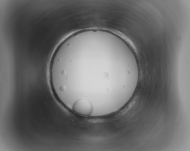 X0000102271239200807250851