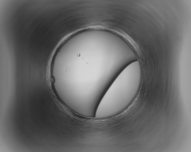 X0000102271240200807250851