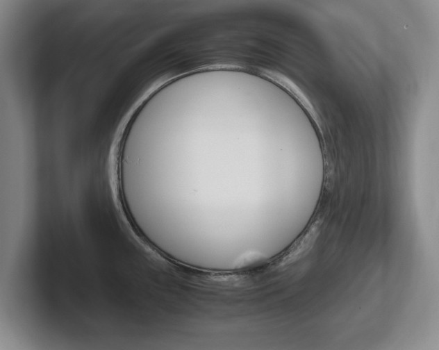 X0000102271243200807250851
