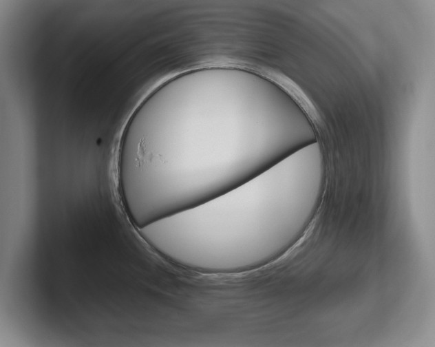 X0000102271244200807250851