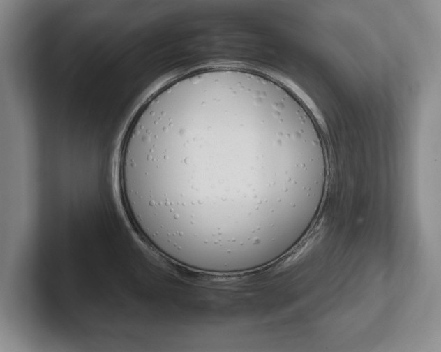 X0000102271245200807250851