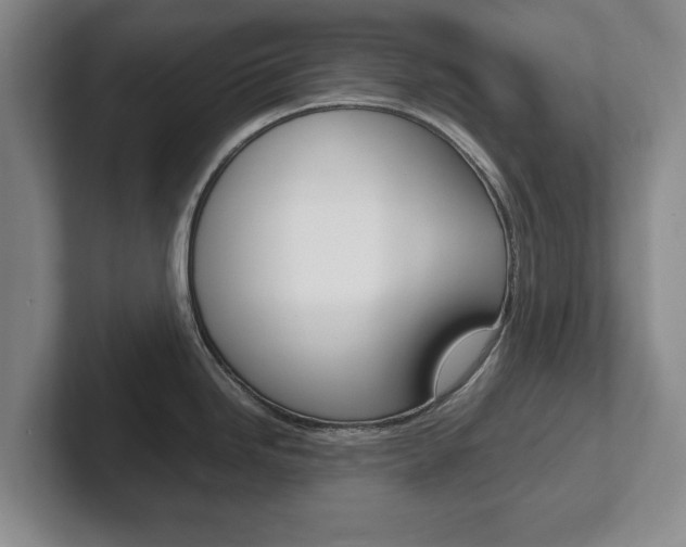 X0000102271246200807250851