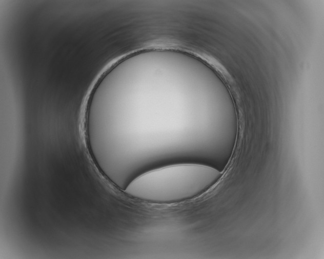X0000102271248200807250851