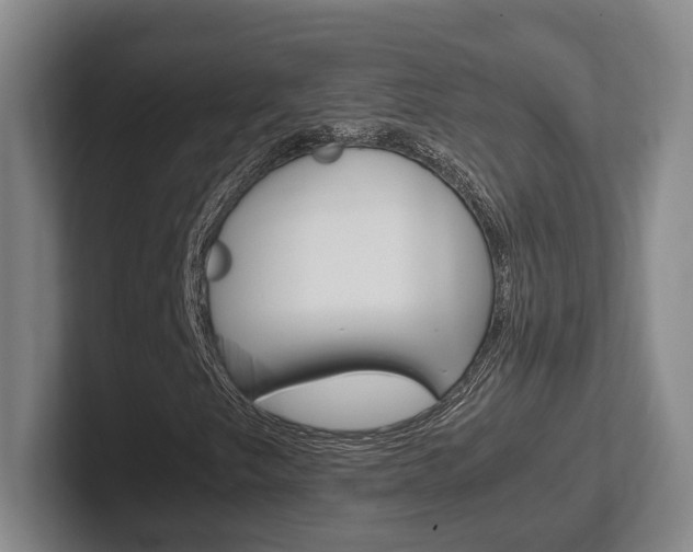 X0000102271249200807250851