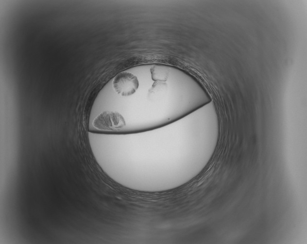 X0000102271251200807250851