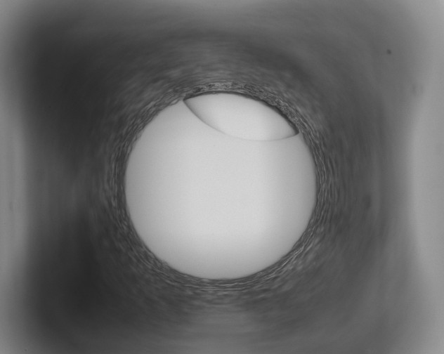 X0000102271253200807250851