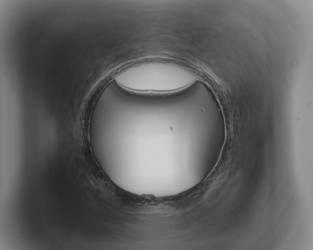 X0000102271256200807250851