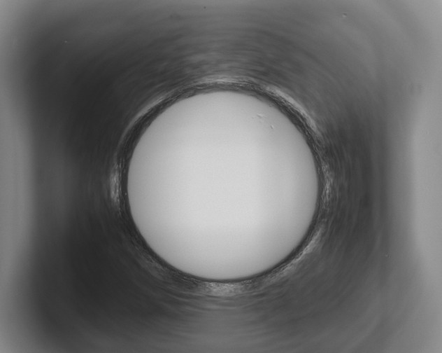 X0000102271258200807250851
