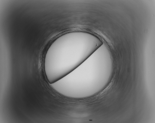 X0000102271259200807250851