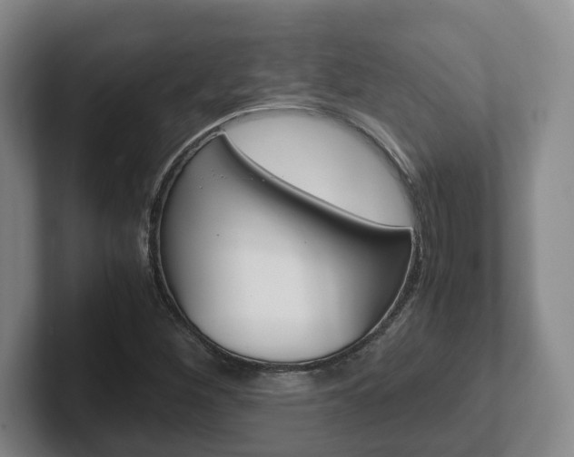 X0000102271260200807250851