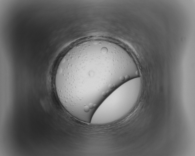 X0000102271263200807250851