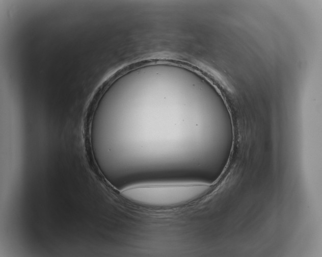 X0000102271264200807250851