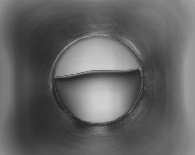 X0000102271268200807250850