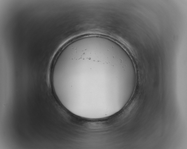 X0000102271272200807250850