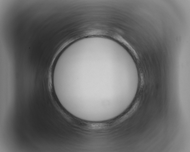 X0000102271274200807250850