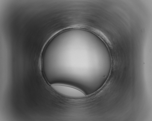 X0000102271276200807250850