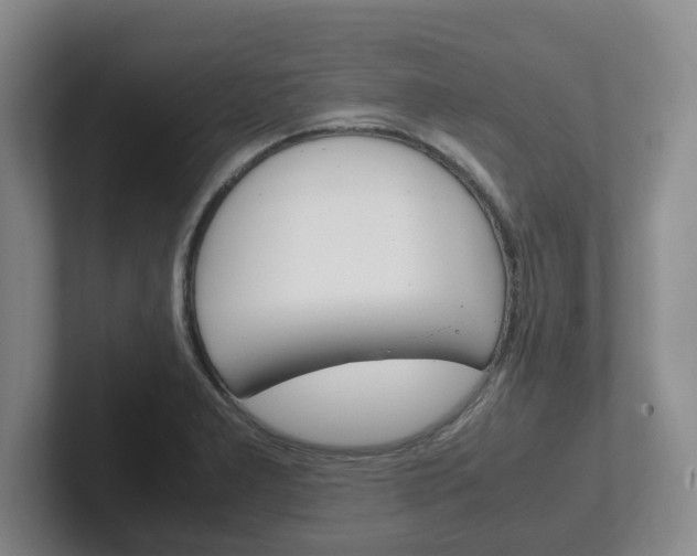 X0000102271277200807250850