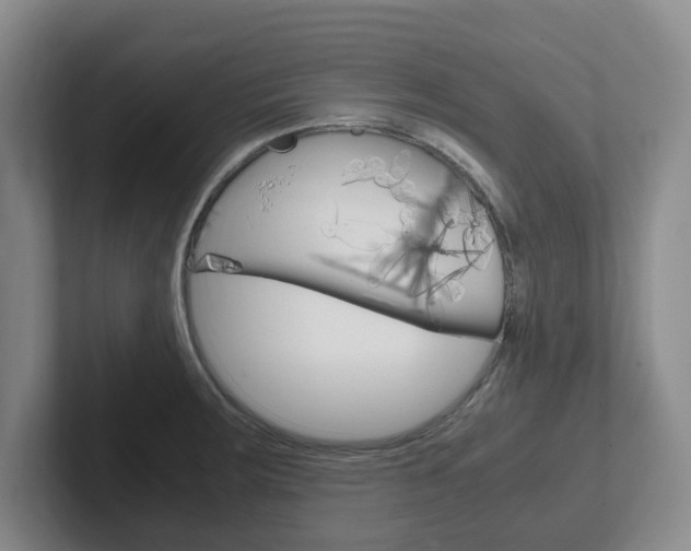 X0000102271283200807250850