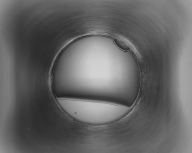 X0000102271284200807250850