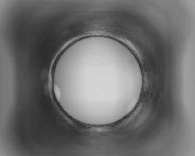X0000102271286200807250850