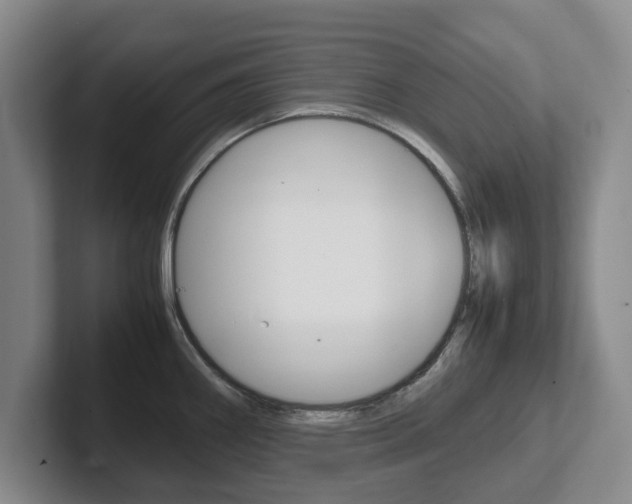 X0000102271290200807250850
