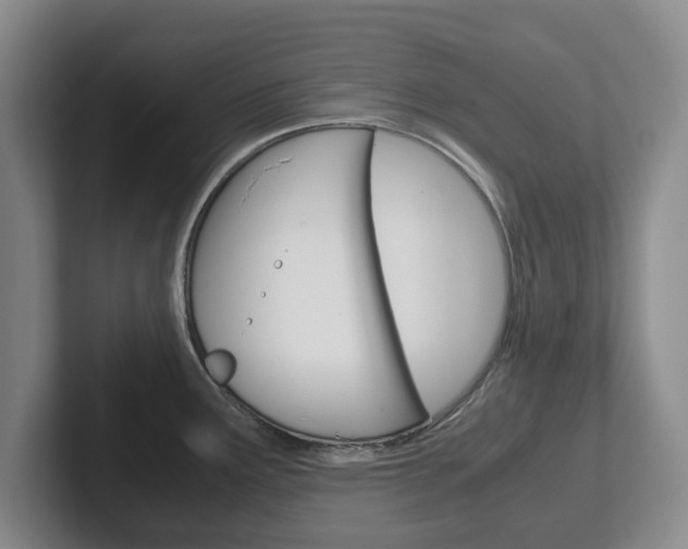 X0000102271291200807250850