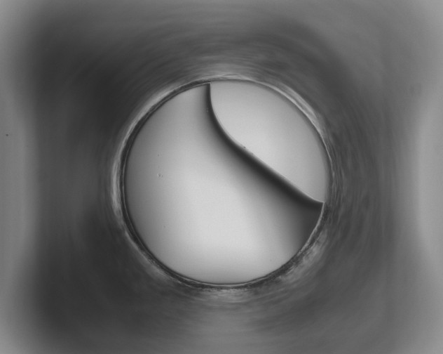 X0000102271293200807250850