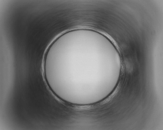 X0000102271294200807250850