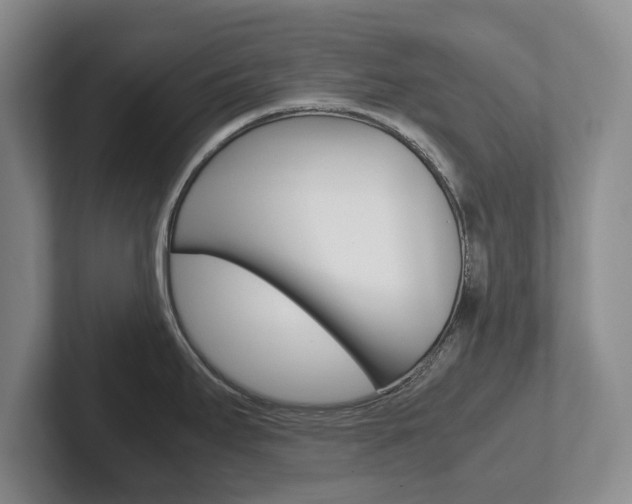 X0000102271295200807250850