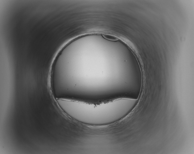 X0000102271296200807250850