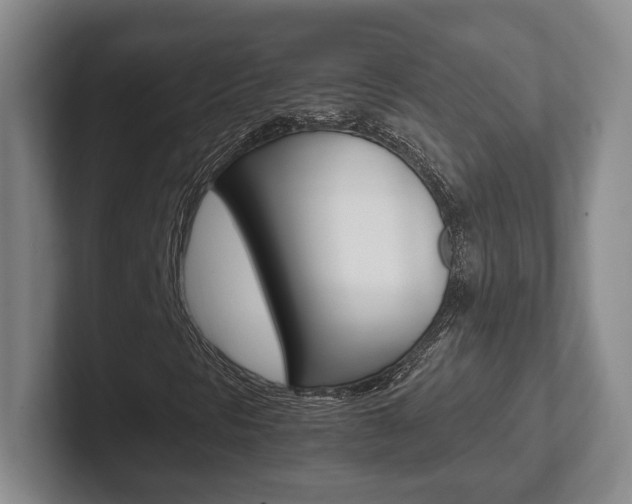 X0000102271297200807250849
