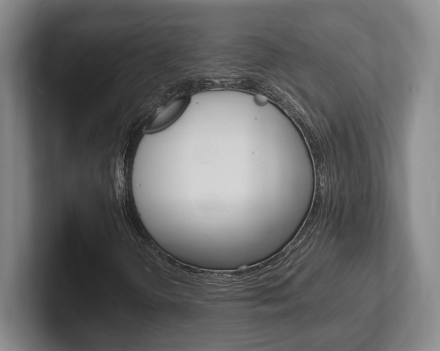X0000102271298200807250849